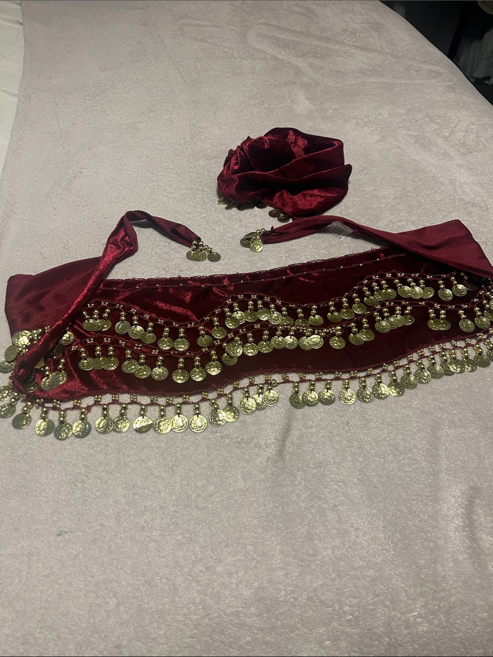 Spirit Halloween fortune teller/ belly dance costume